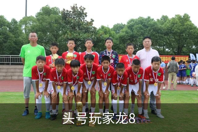 头号玩家龙8公司简介